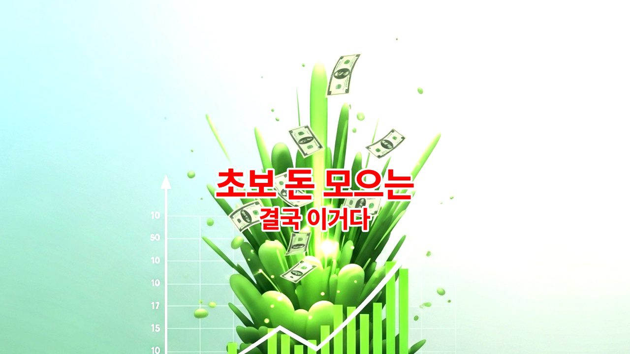 초보 돈 모으는 방법 안 하면 손해