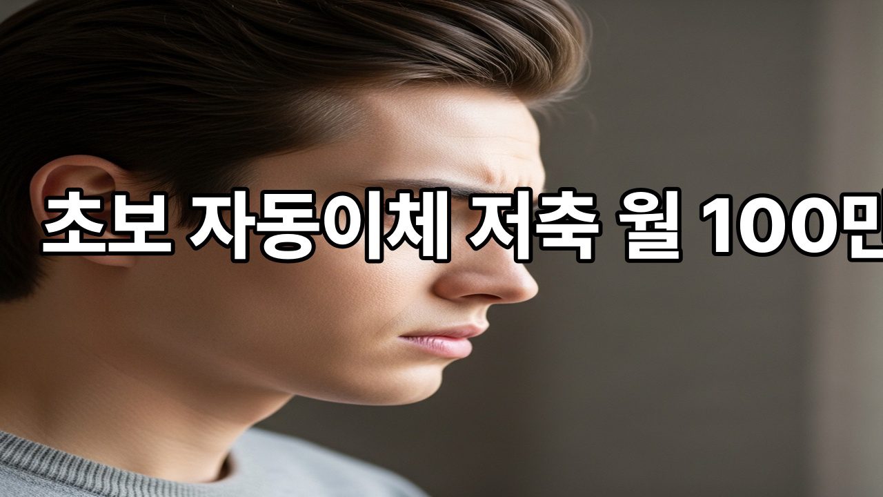 초보 자동이체 저축 월 100만원 모으는 방법